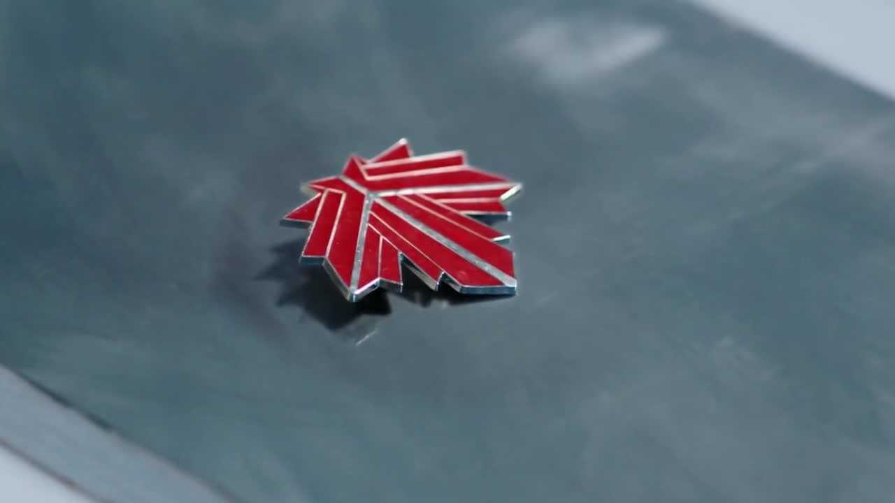 Аватар короля — кадр 4