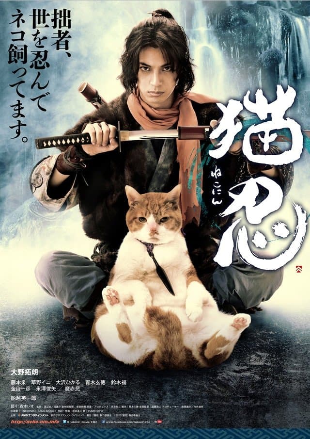 Постер дорамы «Ниндзя и кот»